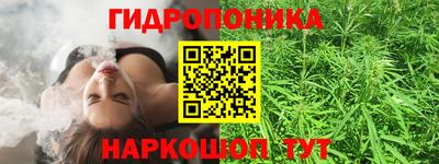 индика Балахна