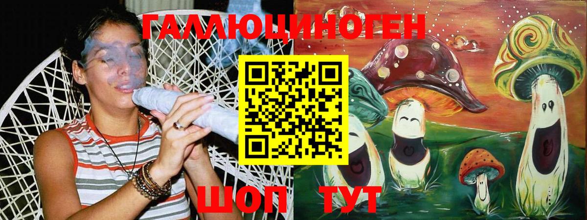 Гатчина  Псилоцибиновые грибы Cubensis  Вход с VPN 